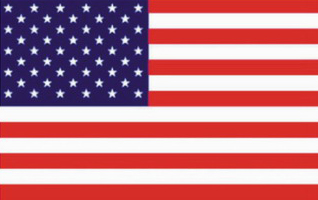 USA FLAG Vector